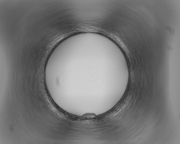 X0000111200433200907221133