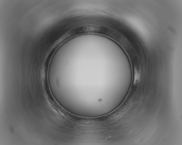 X0000111200435200907221133