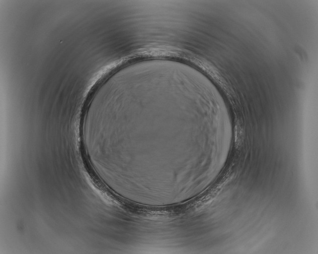 X0000111200438200907221133