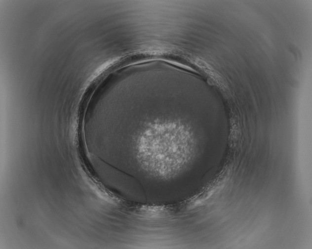 X0000111200440200907221133