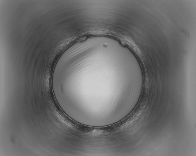 X0000111200441200907221133