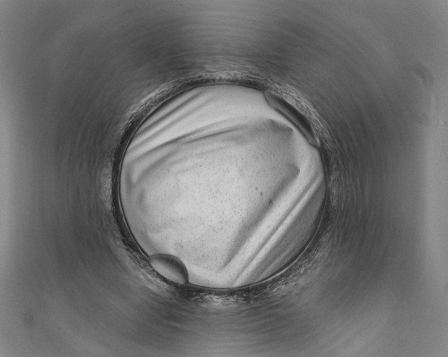 X0000111200442200907221133