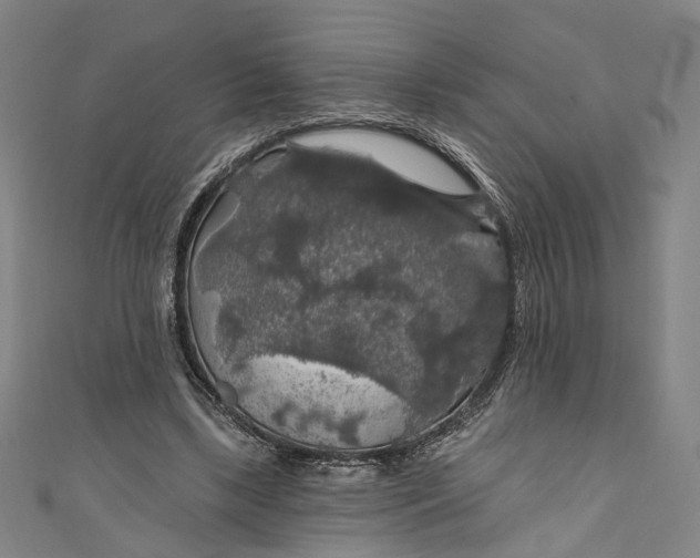 X0000111200443200907221133