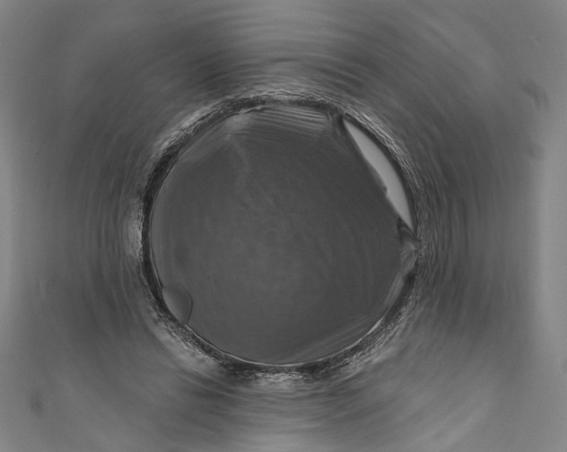 X0000111200446200907221133