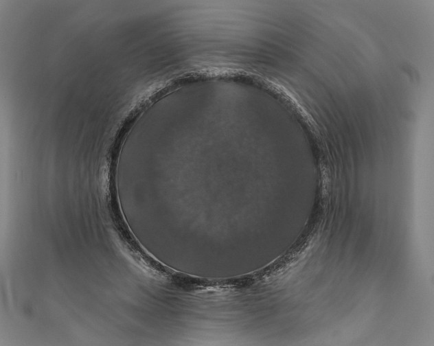 X0000111200447200907221133