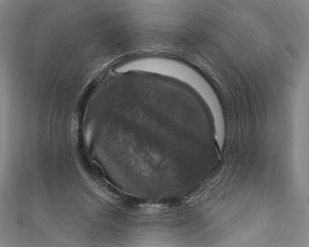 X0000111200448200907221133