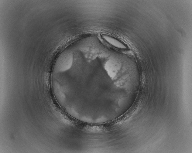 X0000111200449200907221133