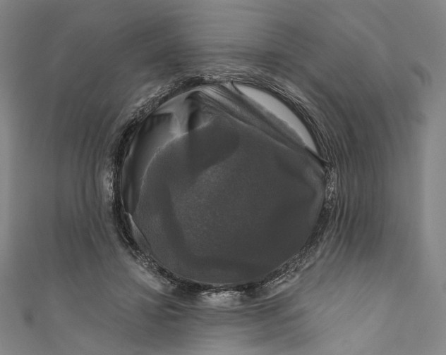 X0000111200452200907221133