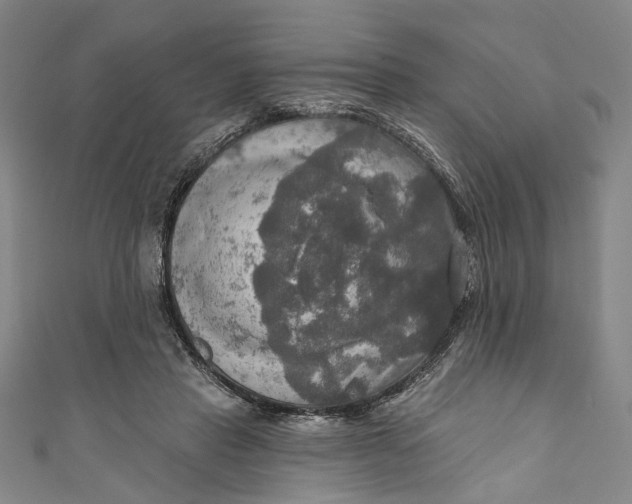 X0000111200453200907221133