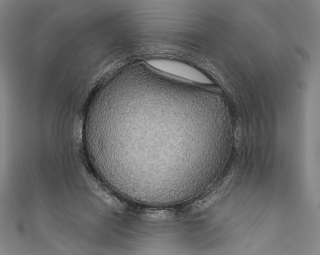 X0000111200454200907221133