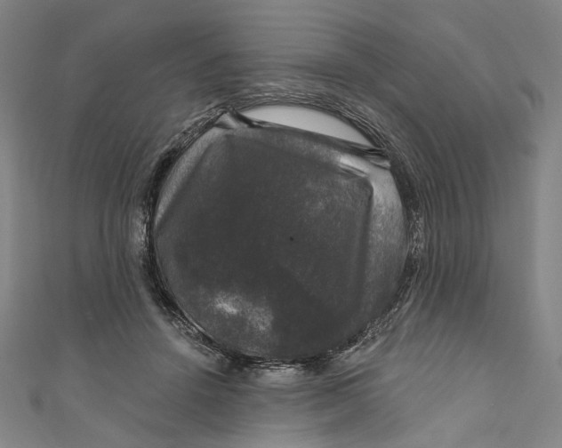 X0000111200456200907221133