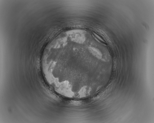 X0000111200457200907221133