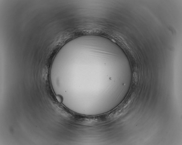 X0000111200458200907221133