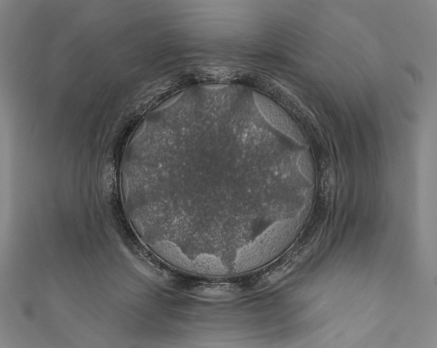 X0000111200459200907221133