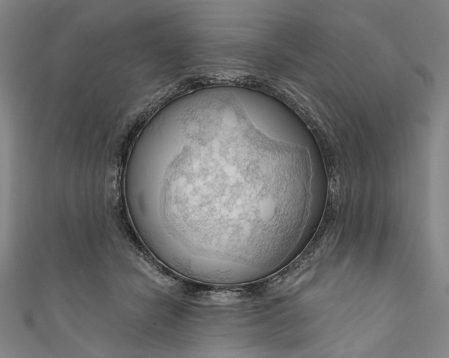 X0000111200462200907221133