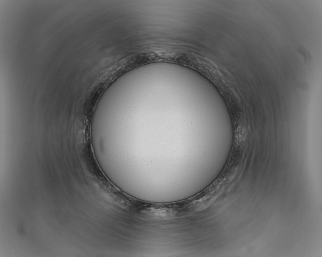 X0000111200464200907221133