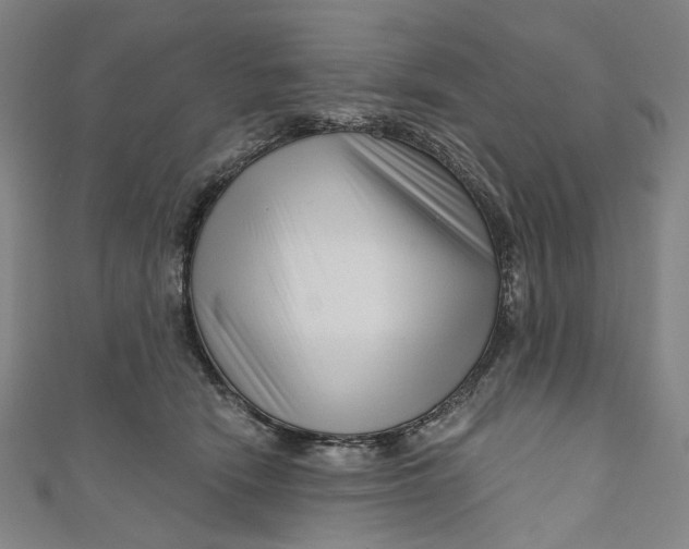 X0000111200466200907221133