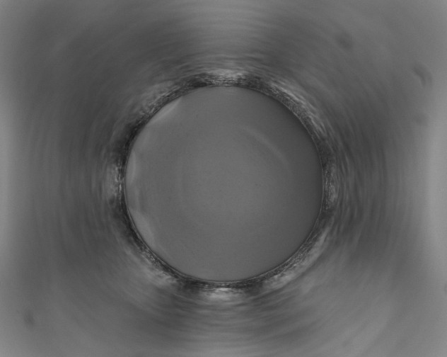 X0000111200467200907221134