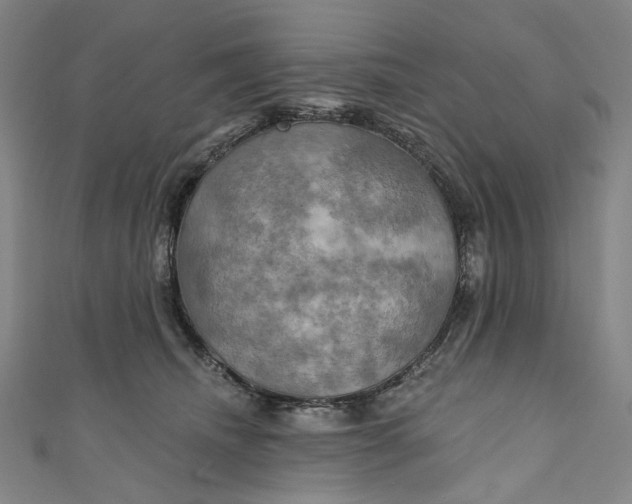 X0000111200468200907221134