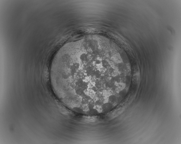 X0000111200469200907221134