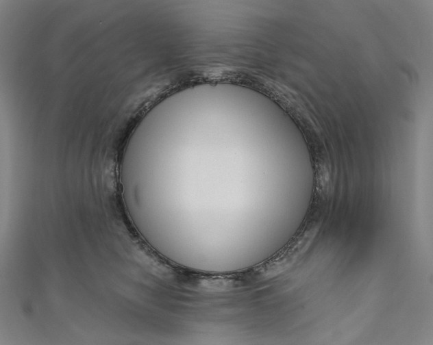 X0000111200470200907221134