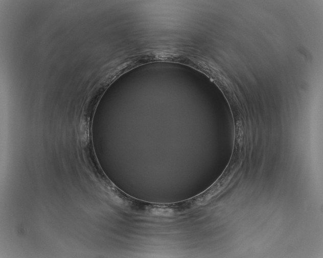 X0000111200471200907221134