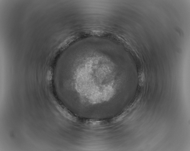 X0000111200472200907221134