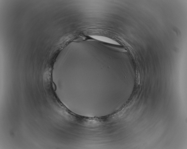 X0000111200475200907221134