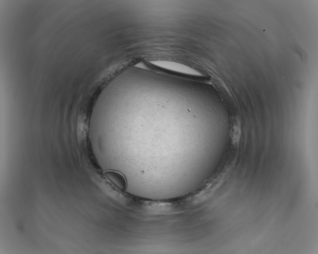 X0000111200476200907221134