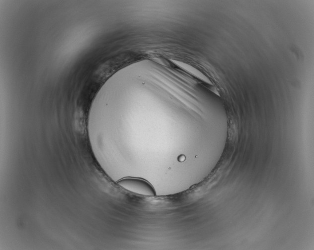 X0000111200477200907221134