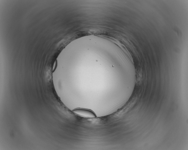 X0000111200478200907221134