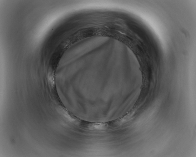 X0000111200479200907221134