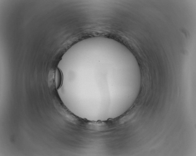 X0000111200480200907221134