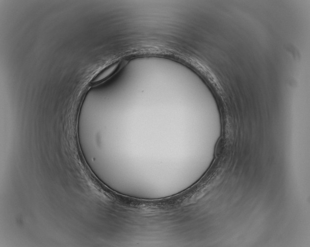 X0000111200481200907221133