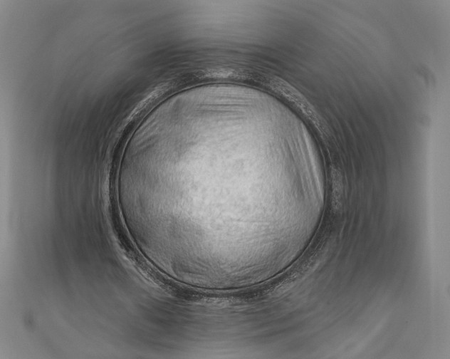 X0000111200482200907221133