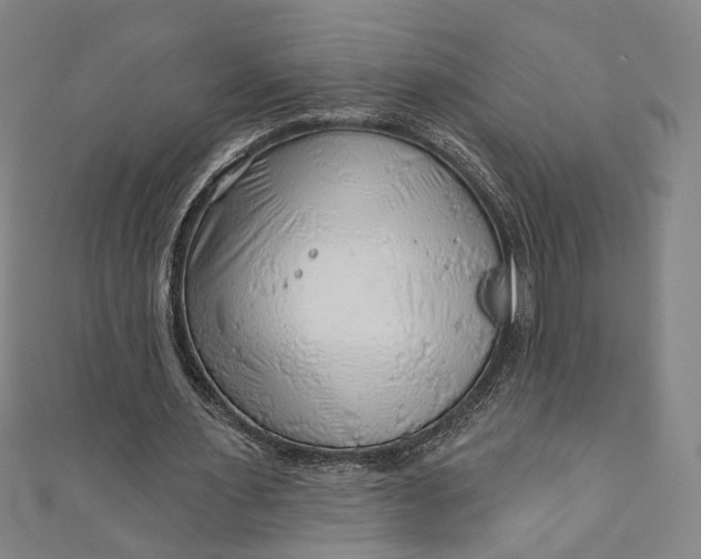 X0000111200483200907221133