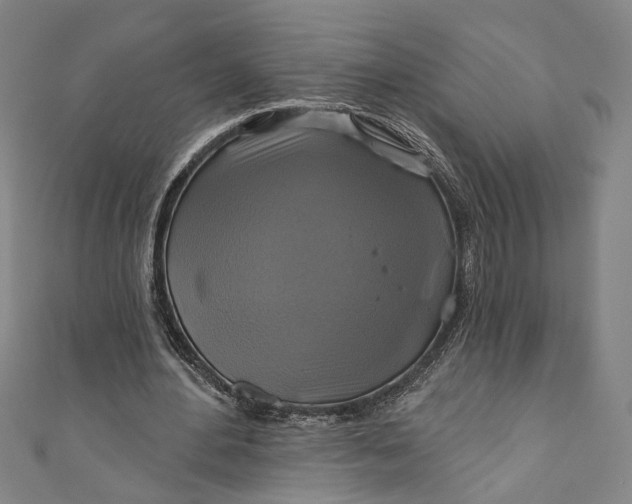 X0000111200484200907221133