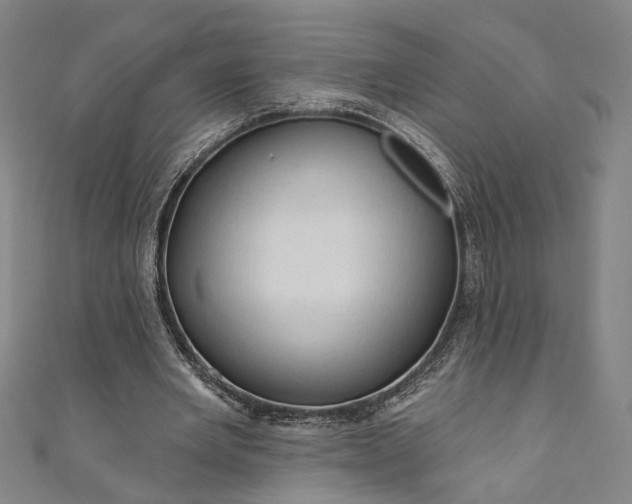 X0000111200485200907221133