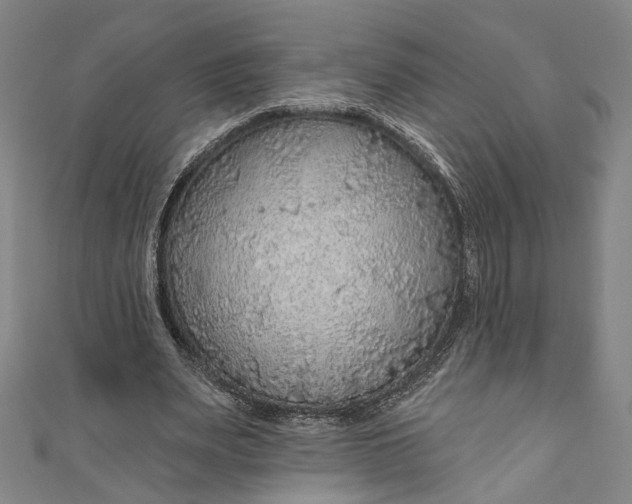 X0000111200487200907221133