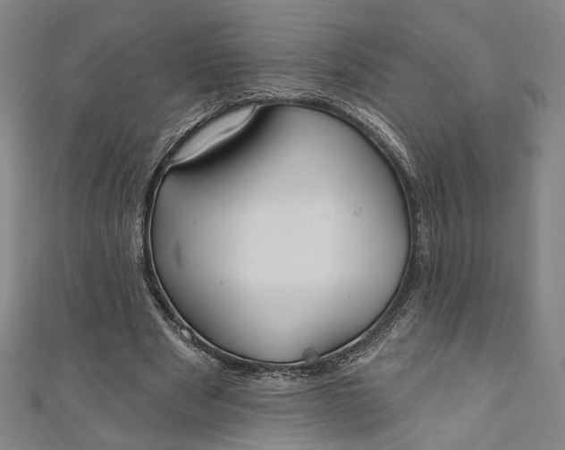 X0000111200489200907221133