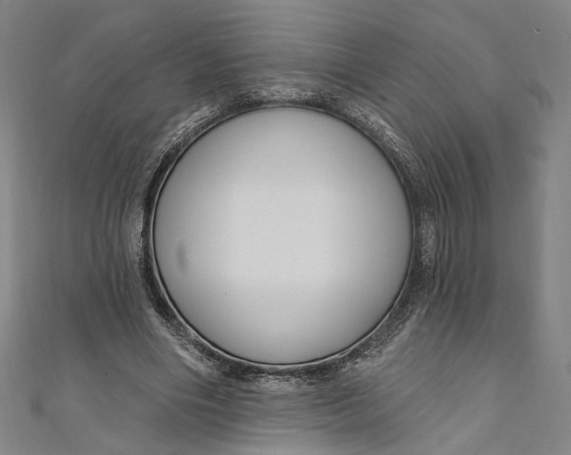 X0000111200490200907221133