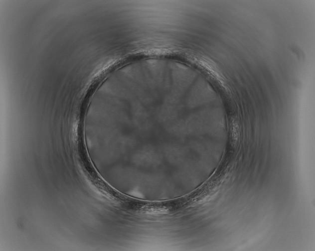 X0000111200491200907221133