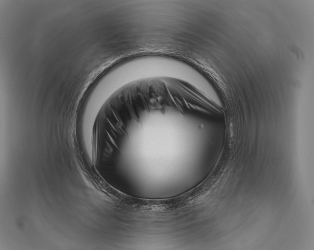 X0000111200492200907221133