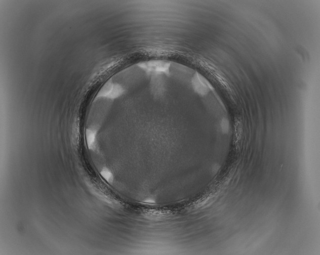 X0000111200494200907221133