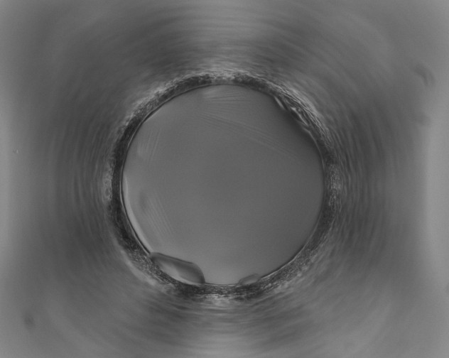 X0000111200496200907221133