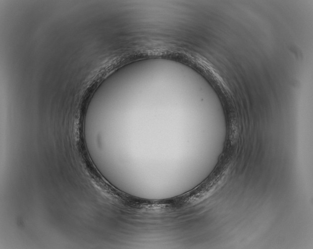 X0000111200497200907221133