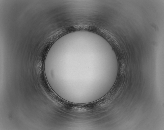 X0000111200498200907221133