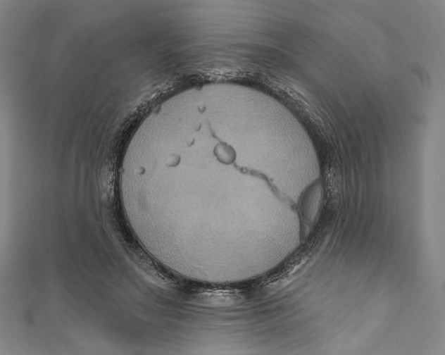 X0000111200499200907221133