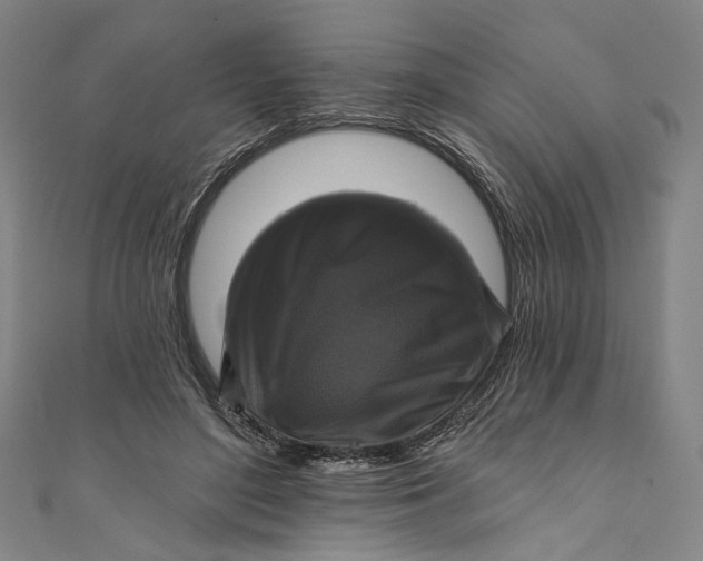 X0000111200500200907221133