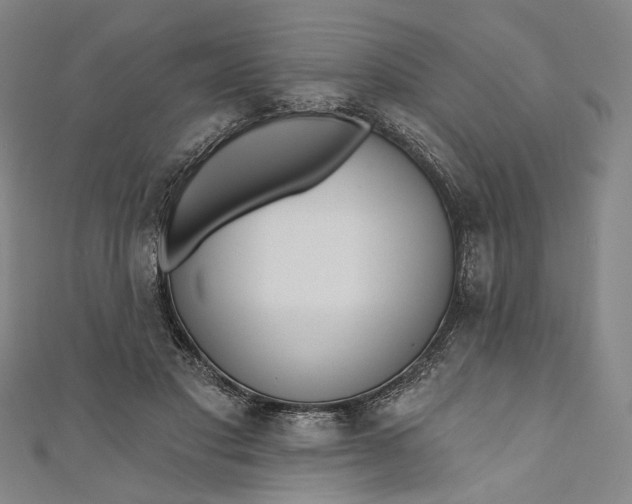 X0000111200501200907221133